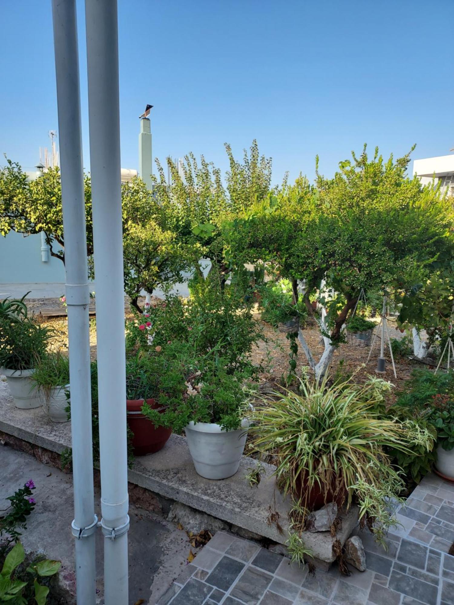 Anastasia'S Garden House Ialisos Exterior foto